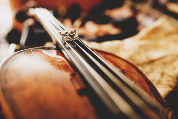 NZ Stringed Instruments
