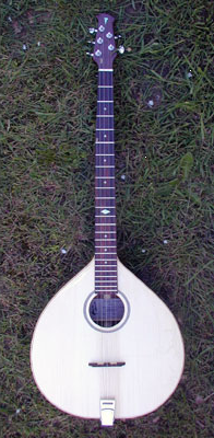 5 String Banj-ouki