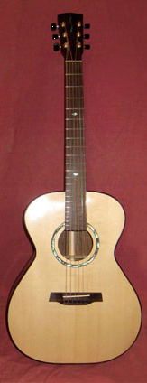 Taylor TG6