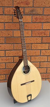 Mandocello/Bass-ouki