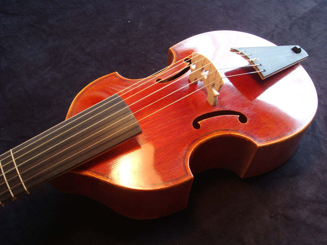 Viol